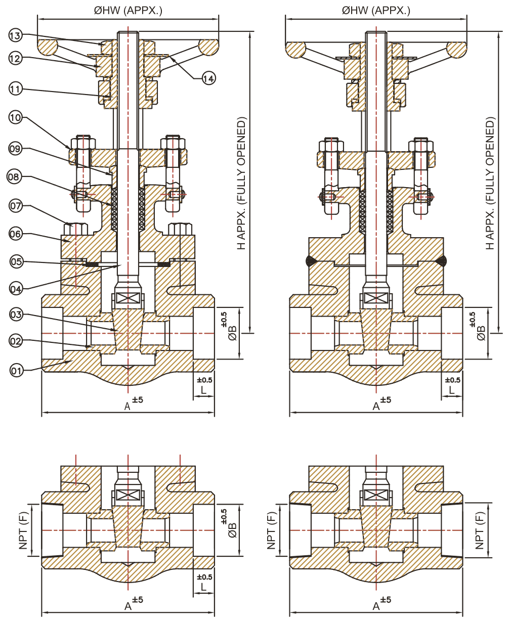 Forge Gate Valve schematic
