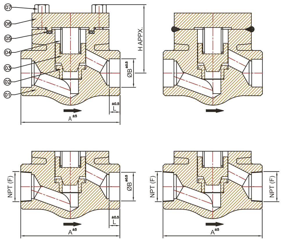 Forge Lift Check Valve schematic
